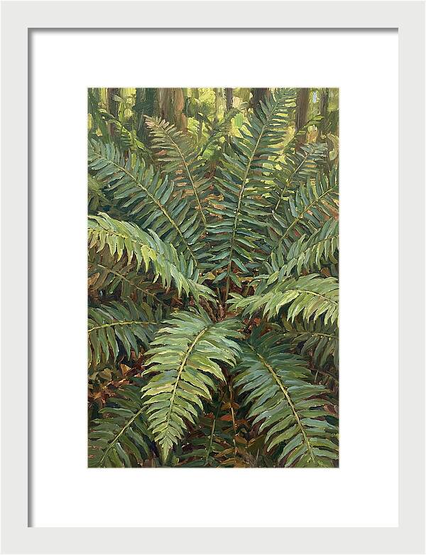 Lush Fern Fronds In Nature