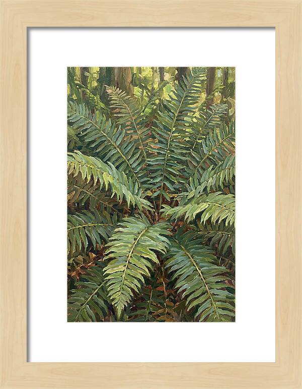 Lush Fern Fronds In Nature