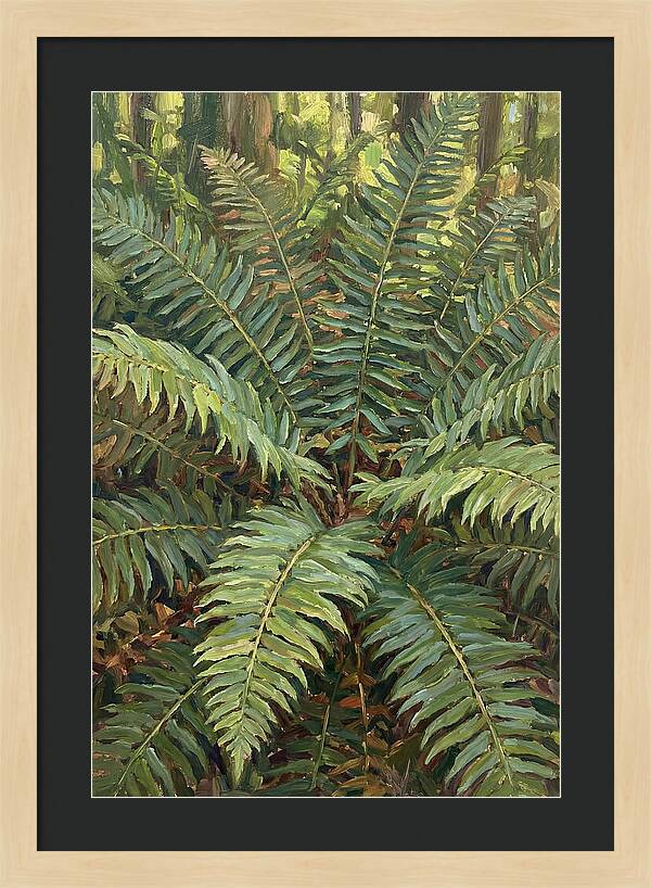 Lush Fern Fronds In Nature