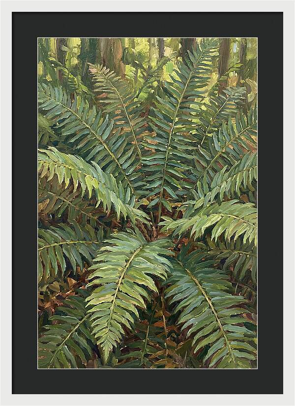 Lush Fern Fronds In Nature