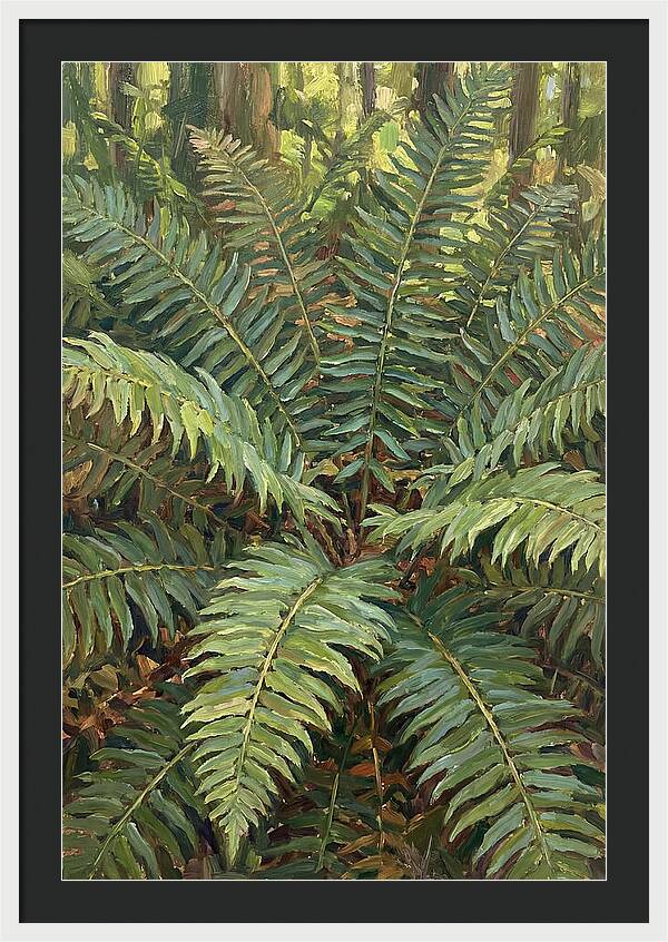 Lush Fern Fronds In Nature