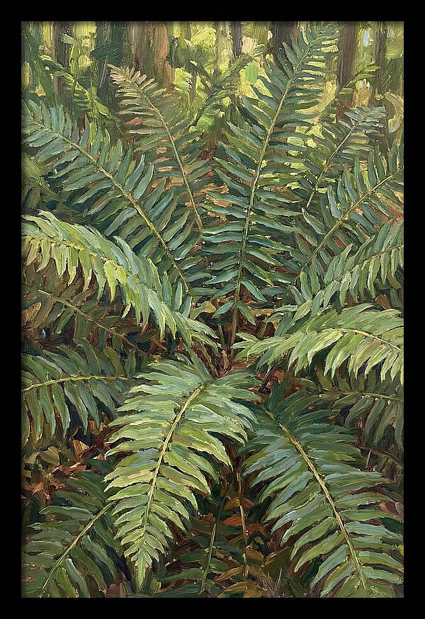Lush Fern Fronds In Nature