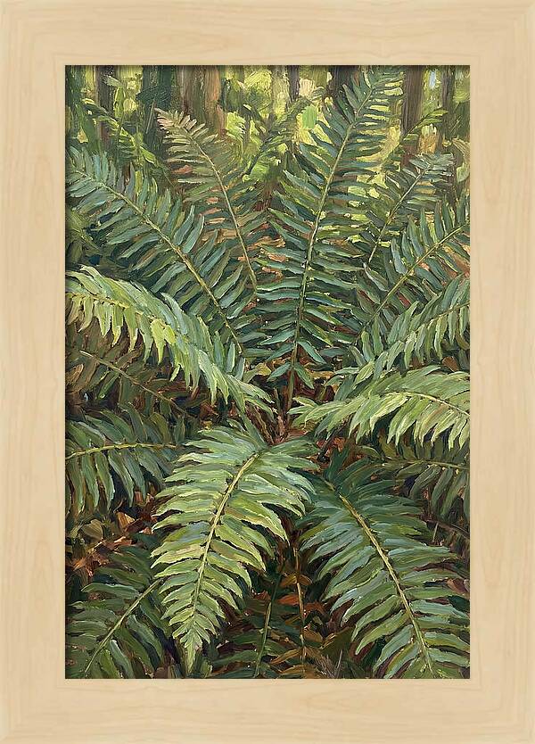 Lush Fern Fronds In Nature