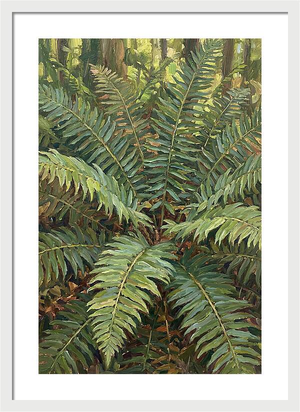 Lush Fern Fronds In Nature