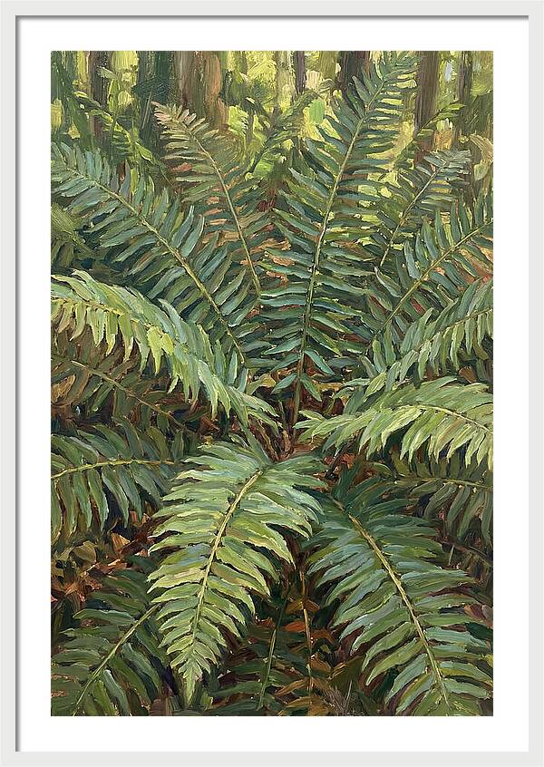 Lush Fern Fronds In Nature