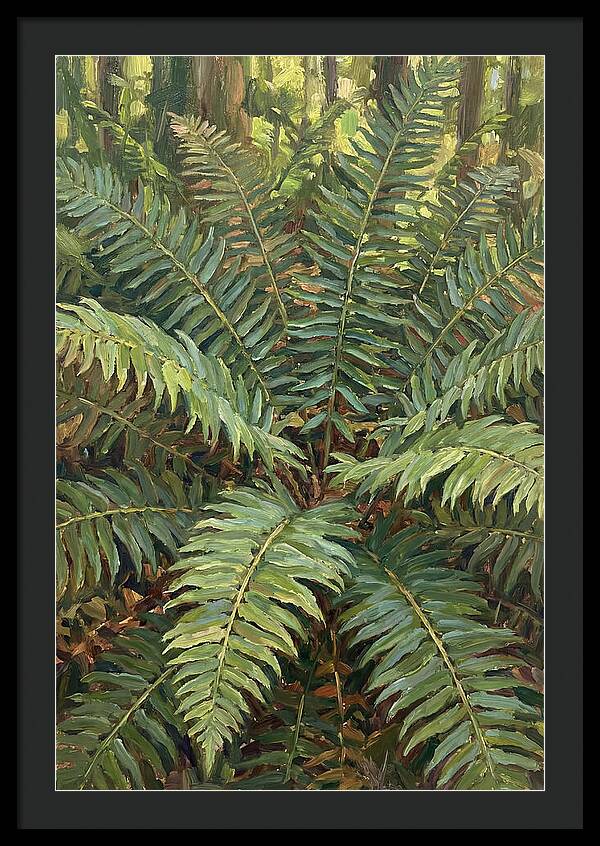 Lush Fern Fronds In Nature