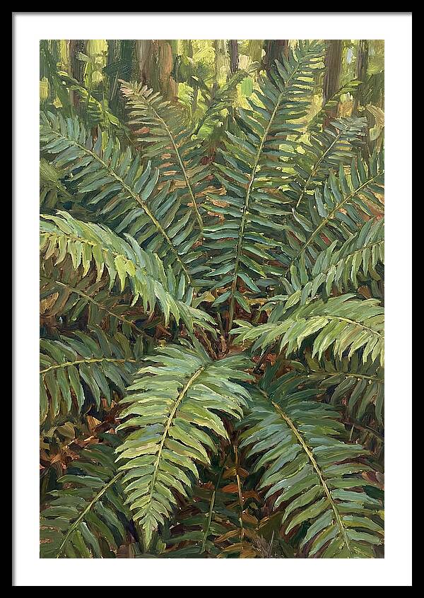Lush Fern Fronds In Nature