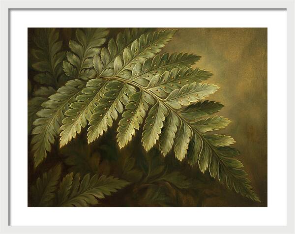 Lush Ferns In Realism