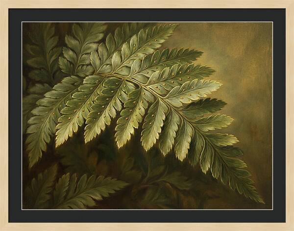 Lush Ferns In Realism