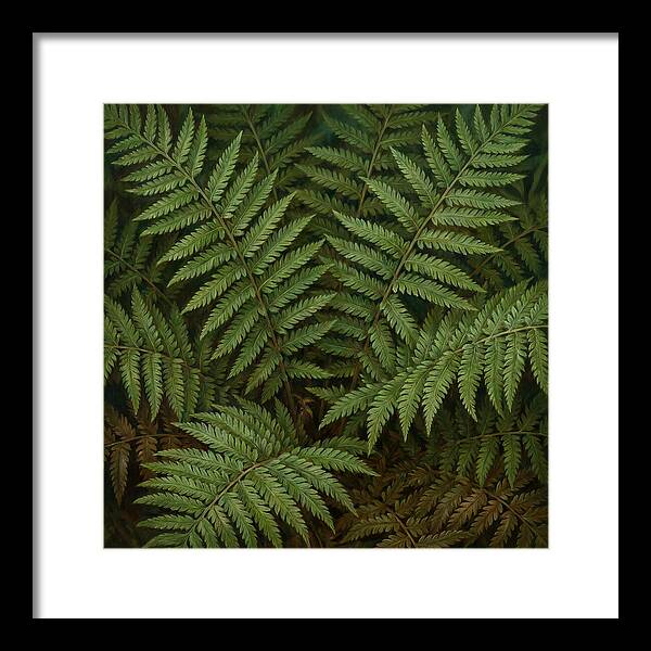 Lush Green Fern Fronds