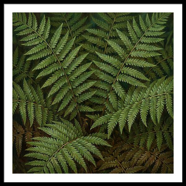 Lush Green Fern Fronds