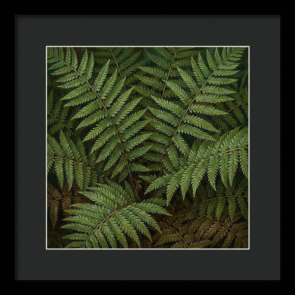 Lush Green Fern Fronds