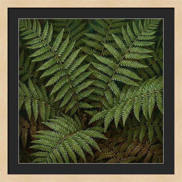 Lush Green Fern Fronds