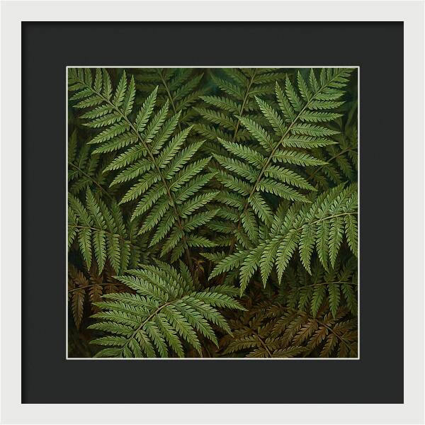 Lush Green Fern Fronds