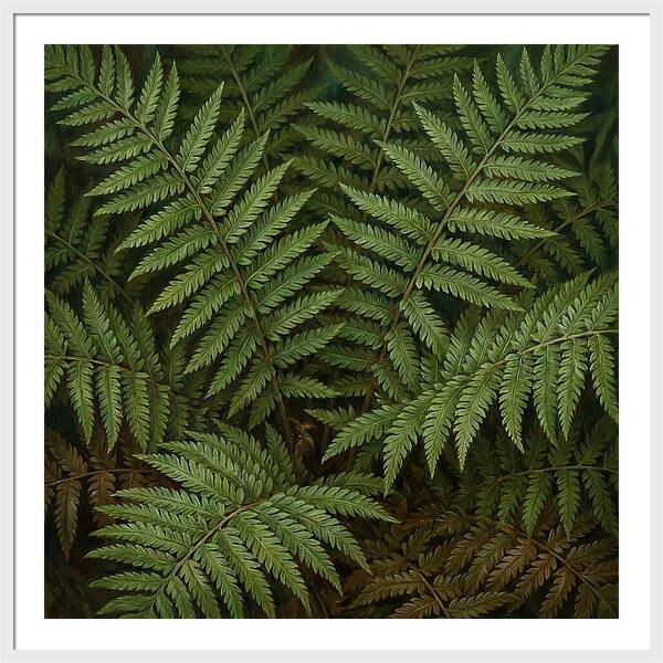 Lush Green Fern Fronds