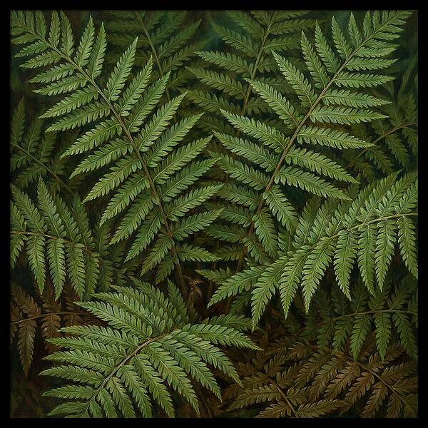 Lush Green Fern Fronds