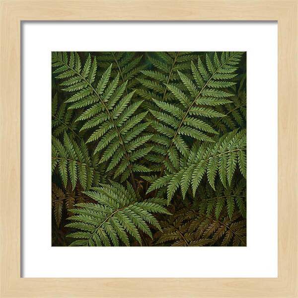 Lush Green Fern Fronds