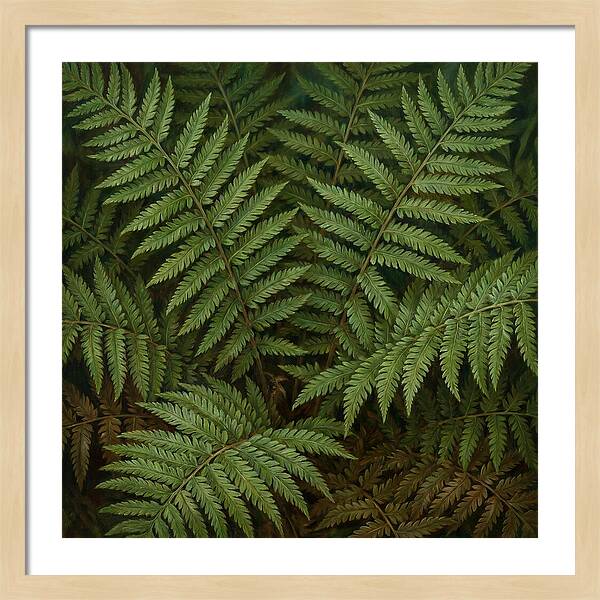 Lush Green Fern Fronds