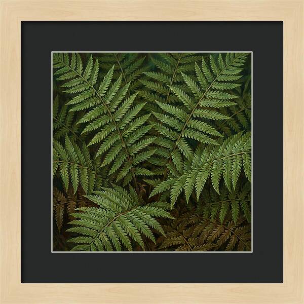 Lush Green Fern Fronds