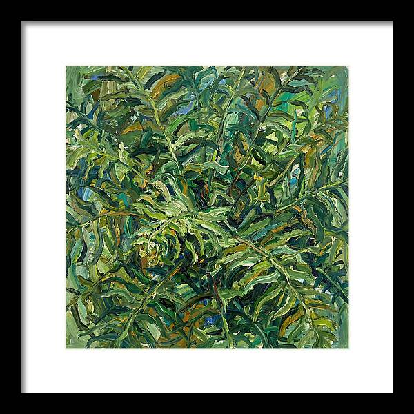 Lush Green Ferns