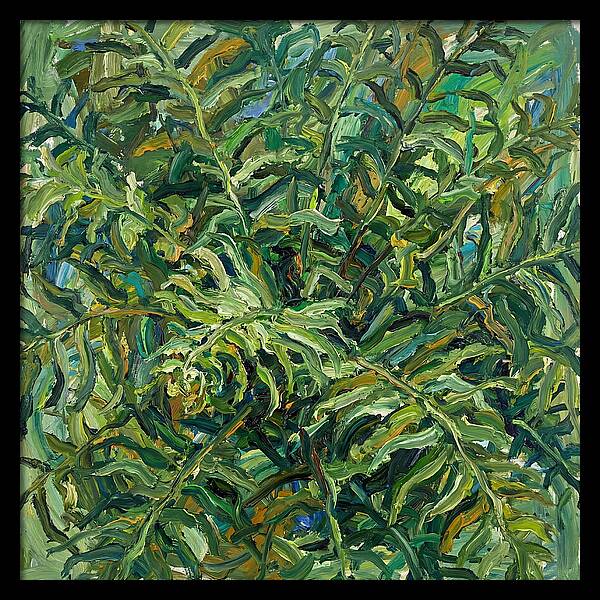 Lush Green Ferns