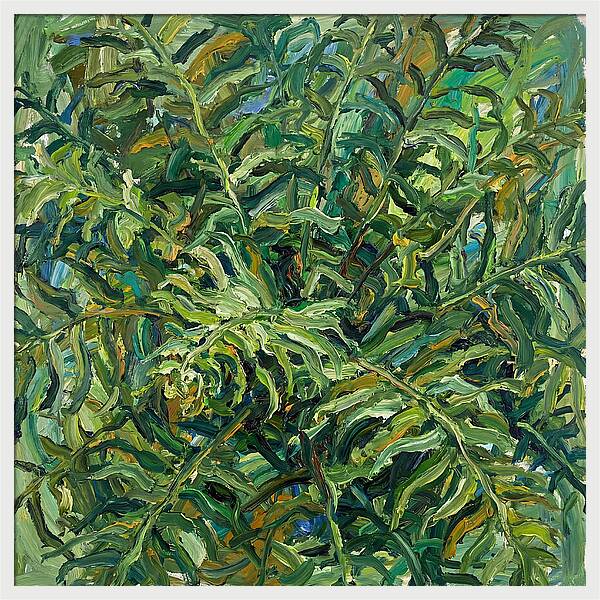 Lush Green Ferns