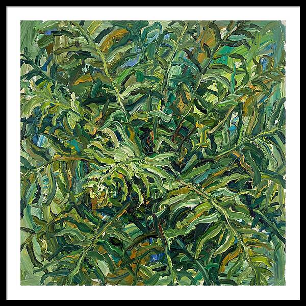 Lush Green Ferns