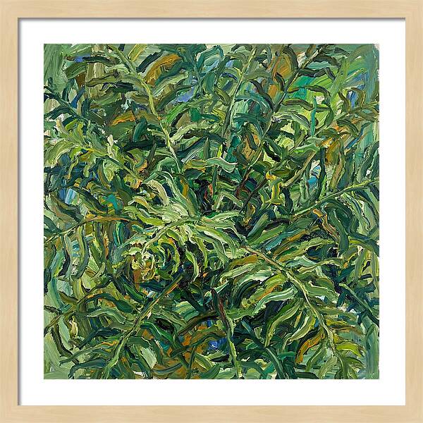 Lush Green Ferns