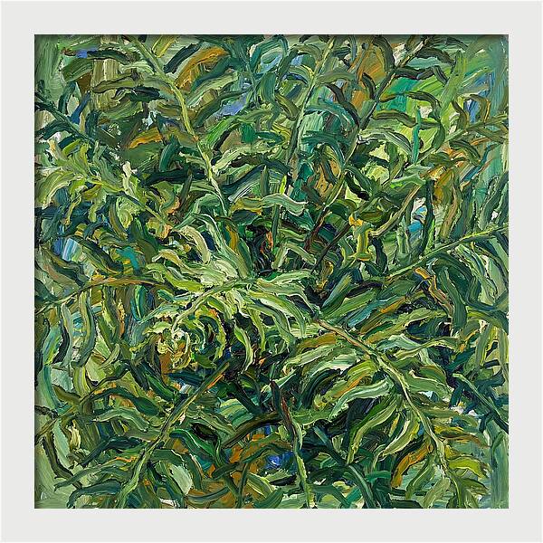 Lush Green Ferns