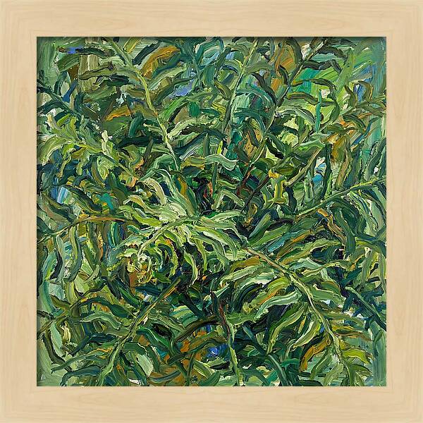 Lush Green Ferns