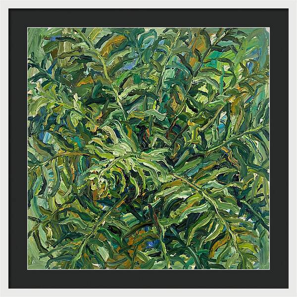 Lush Green Ferns