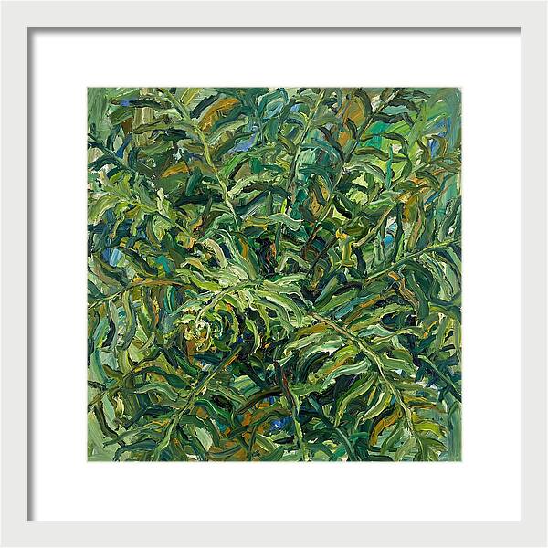 Lush Green Ferns