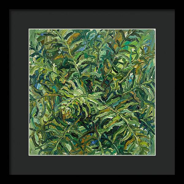 Lush Green Ferns