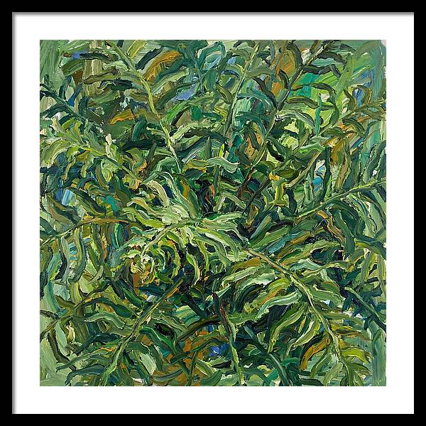 Lush Green Ferns