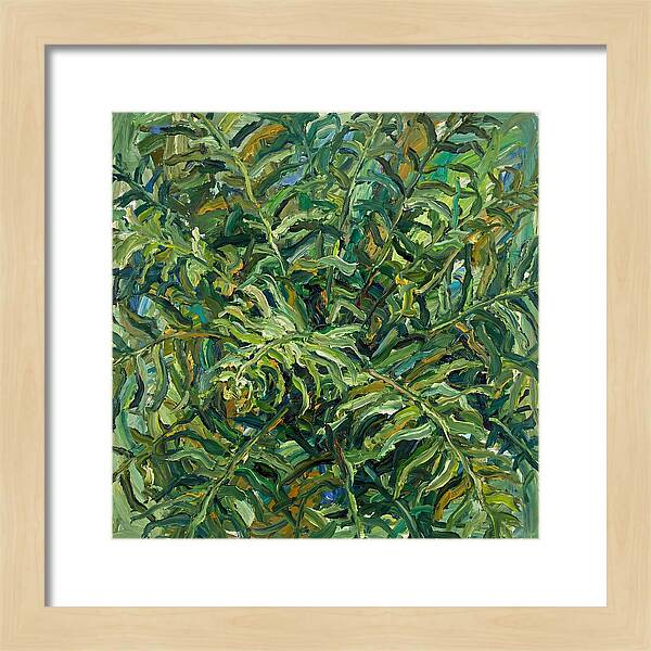 Lush Green Ferns