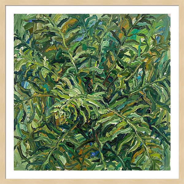Lush Green Ferns
