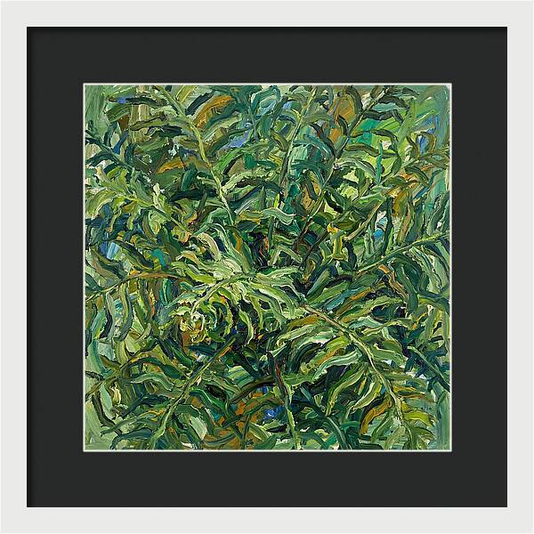Lush Green Ferns