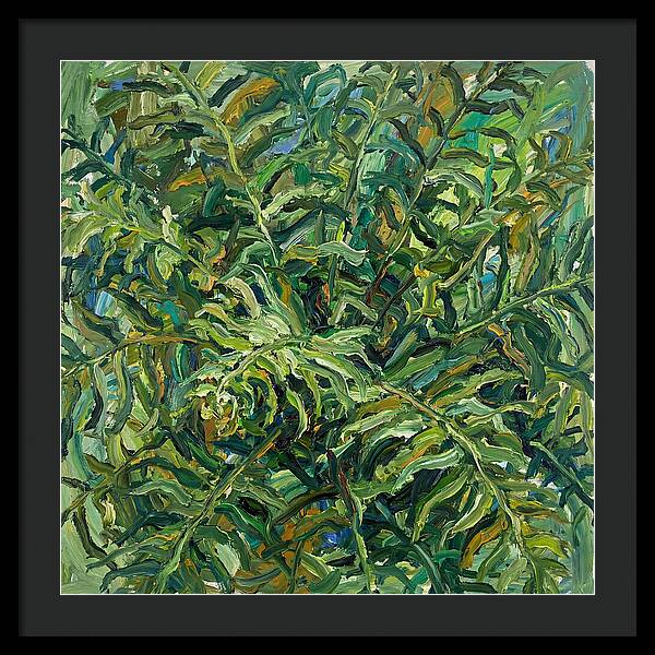 Lush Green Ferns