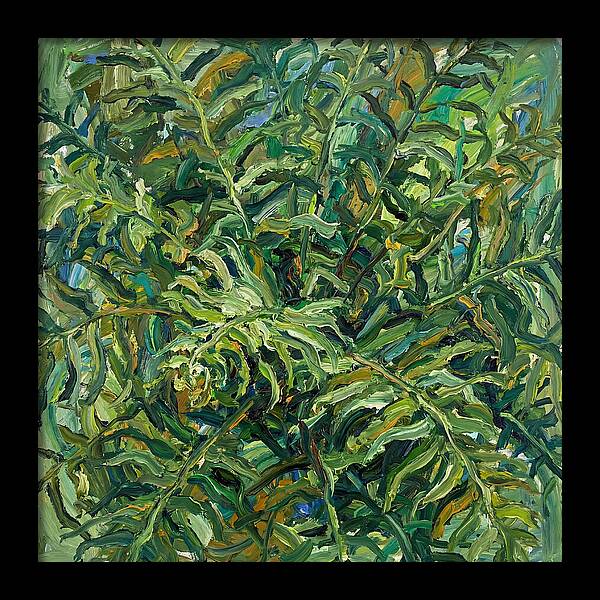 Lush Green Ferns