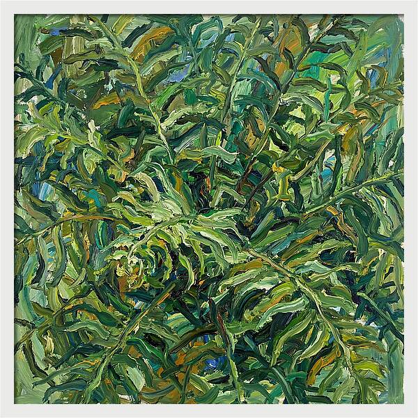 Lush Green Ferns
