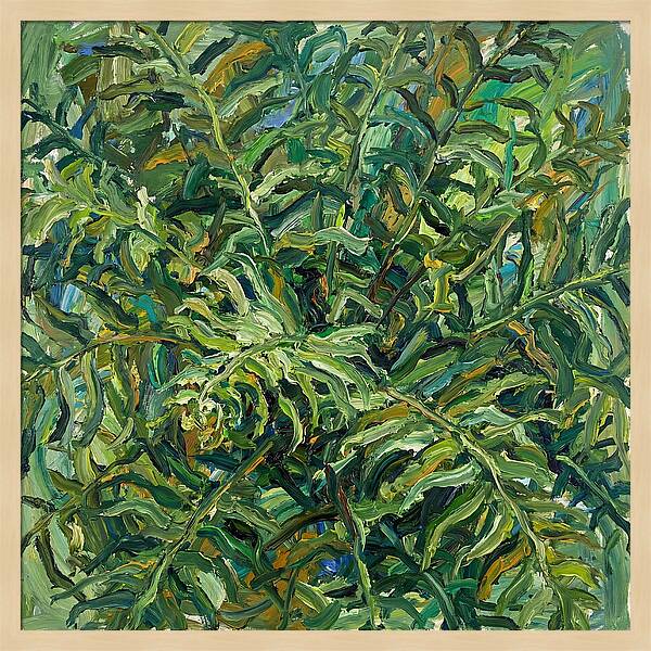 Lush Green Ferns