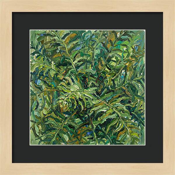 Lush Green Ferns