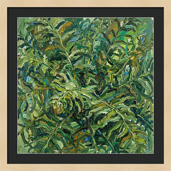 Lush Green Ferns