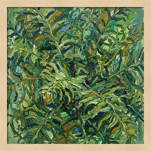 Lush Green Ferns