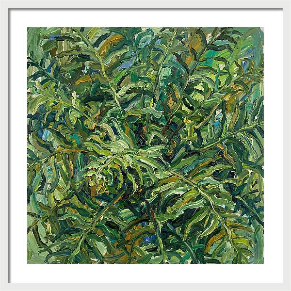 Lush Green Ferns