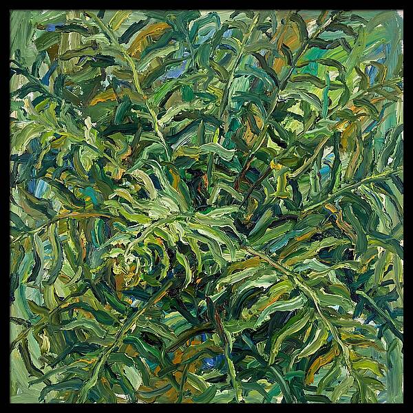 Lush Green Ferns