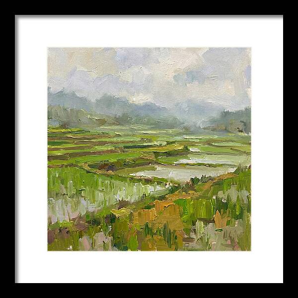 Lush Green Rice Paddy Landscape