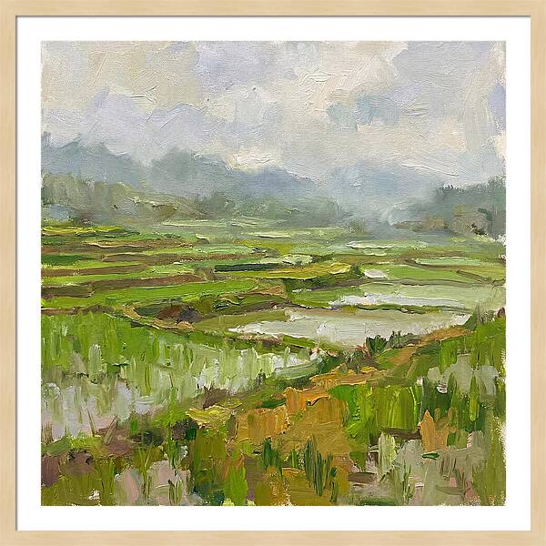 Lush Green Rice Paddy Landscape