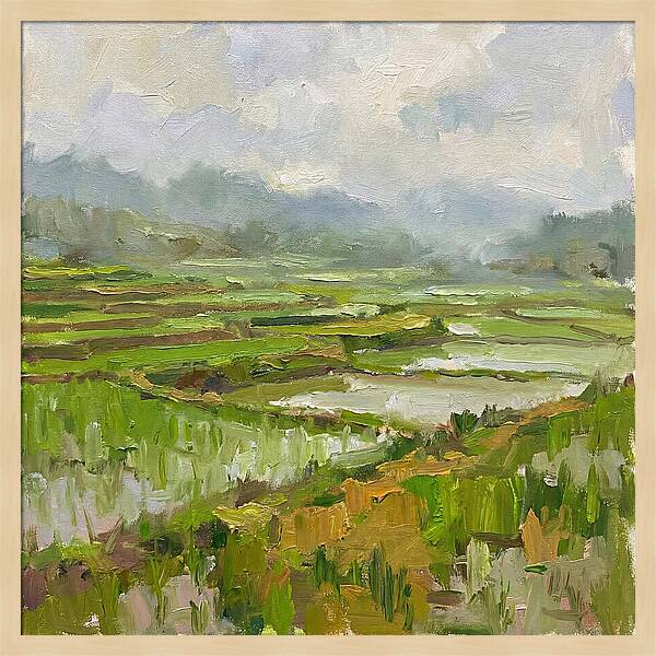 Lush Green Rice Paddy Landscape