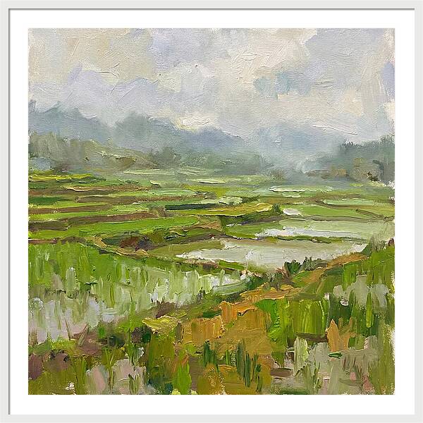 Lush Green Rice Paddy Landscape